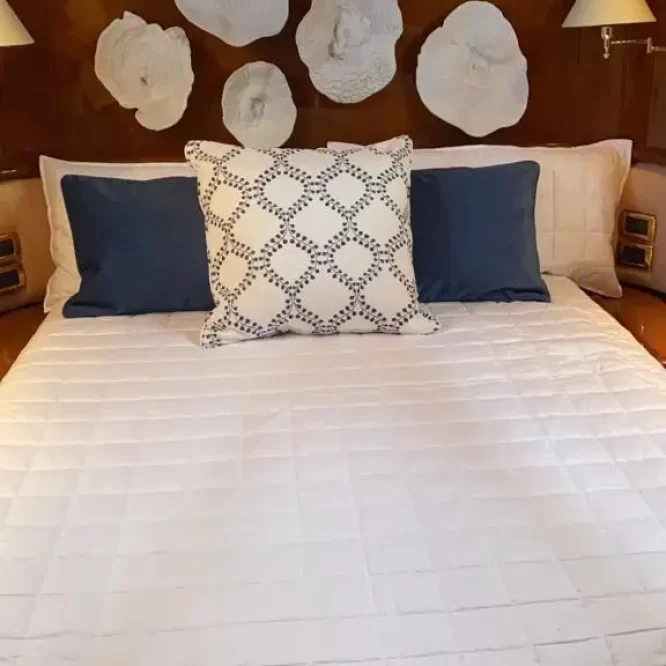 80 ft Ozean Luxe Charters, Rent Yacht Cabo, Cabo Yacht Charters, Private Yacht Cabo, Yate Los Cabos, Renta Yate Los Cabos(3)